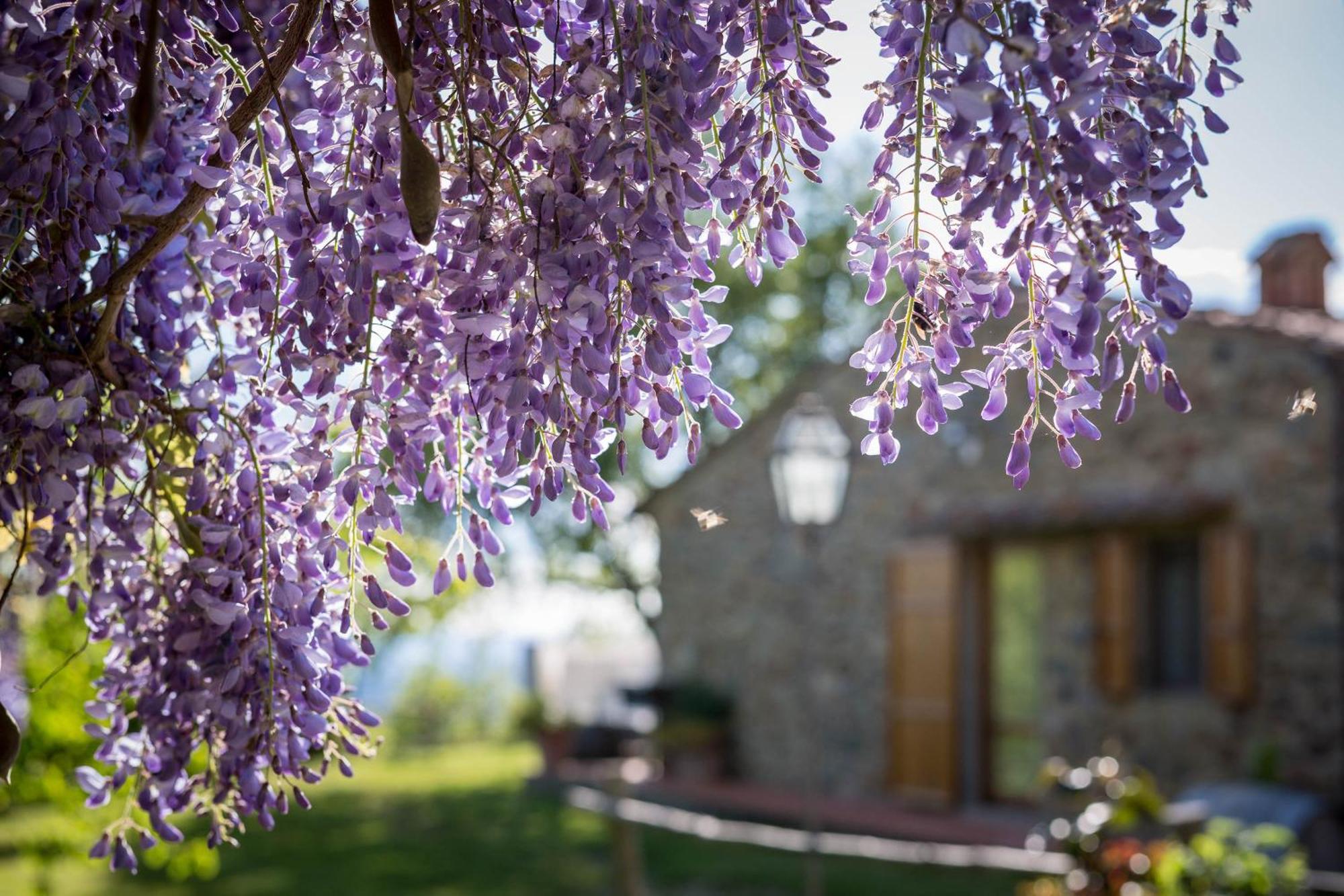 Le Cetinelle Pensionat Greve in Chianti Exteriör bild