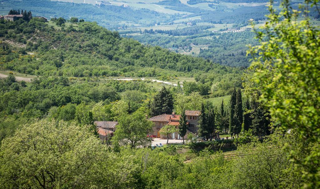 Le Cetinelle Pensionat Greve in Chianti Exteriör bild