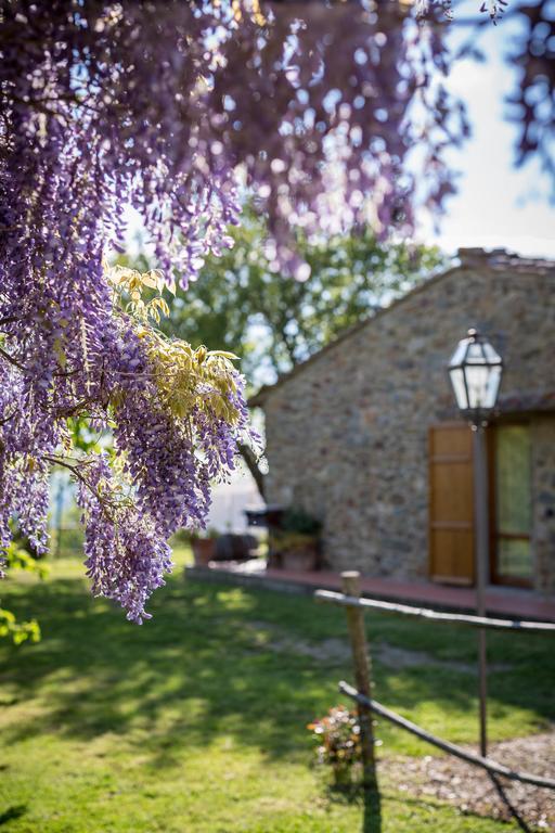 Le Cetinelle Pensionat Greve in Chianti Exteriör bild